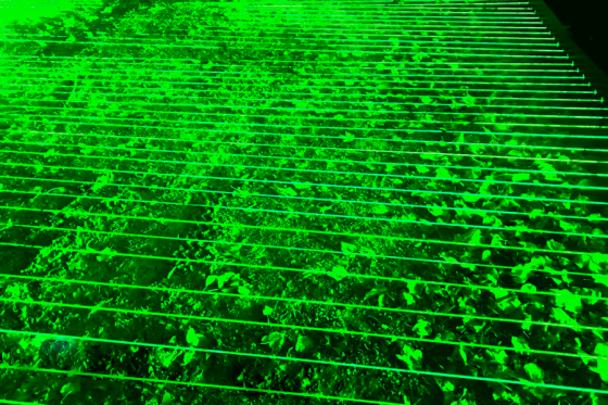 laser_show_chemin_laser