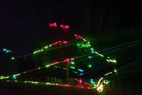 Spectacle_laser_fairy_forest