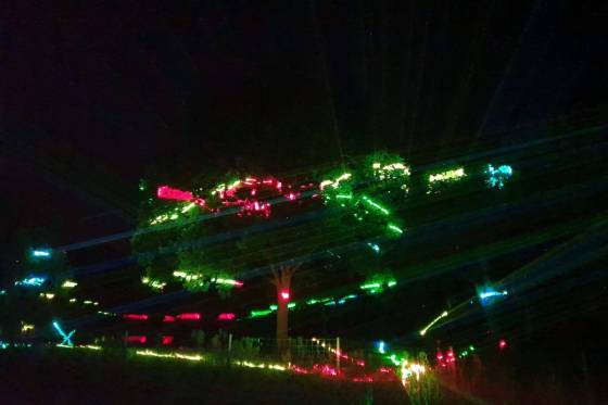 show_laser_fairy_forest