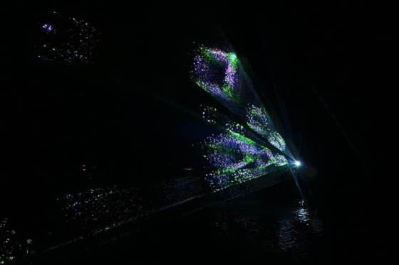 Hologramme_laser_cube_vert_violet