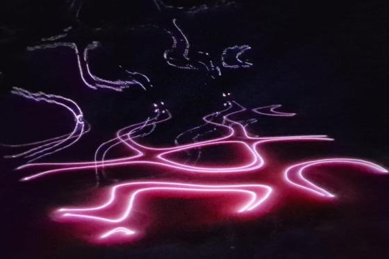 Mapping_lac_constellations_rose