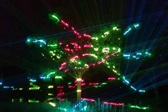 Projection_graphique_fairy_forest