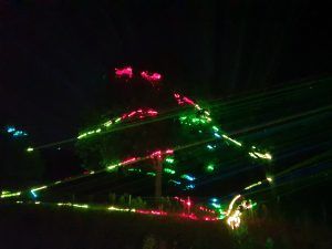 Photo of a tree with projection of red, green and blue laser beams