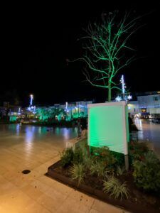 Green light trails in the trees of a city
