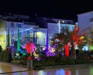 Light trails in palm trees