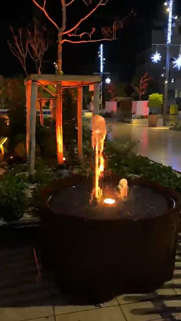 Luminous garden by night with a water jet
