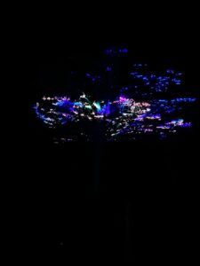 Europe Event - Photo of a tree with fairy forest projection of blue laser beams