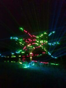 Europe Évènement - Photo d'un arbre avec projection fairy forest de faisceaux laser rouge, vert et bleu